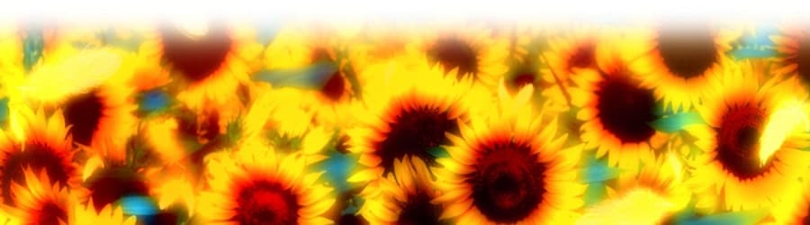 Cover for Ryo - Yoru no Himawari