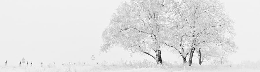 Cover for Ricky Montgomery - Snow