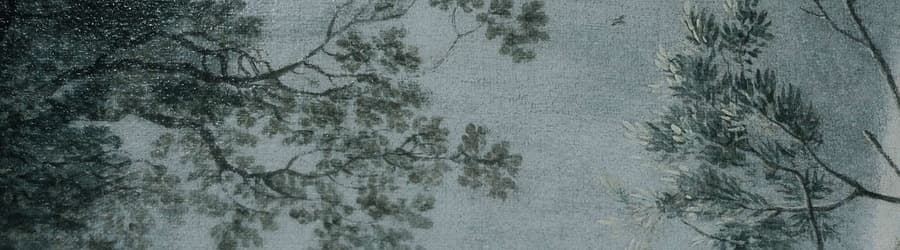 Cover for Cocteau Twins - Kookaburra
