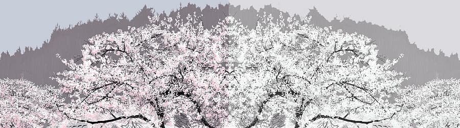 Cover for Nekomata Gekidan - AsiaN distractive